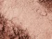 Eye Shadows No. 7